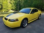 Thumbnail Photo 0 for 2003 Ford Mustang